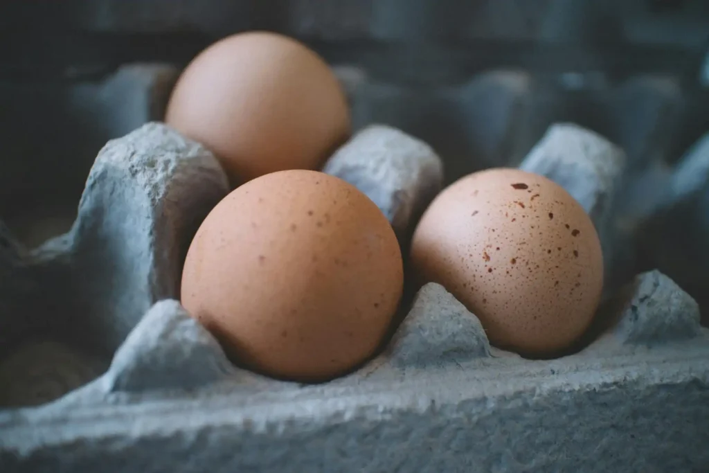When to Eat for Maximum Nutrition The Smart Guide to Nutrient Timing